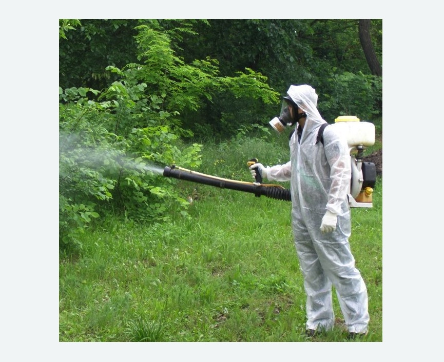 обработка территории от клещей в Алексеевке