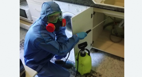 Уничтожение муравьев в квартире. Алексеевка