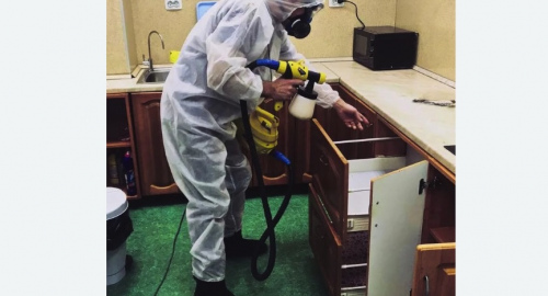 Уничтожение насекомых в квартире. Алексеевка