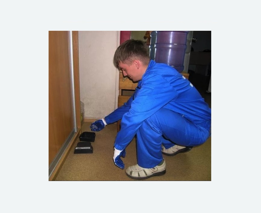 Дератизация крыс в Алексеевке