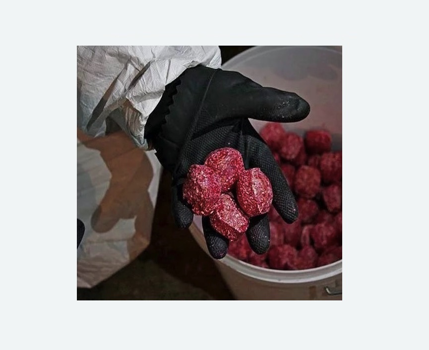 Обработка от крыс в Алексеевке