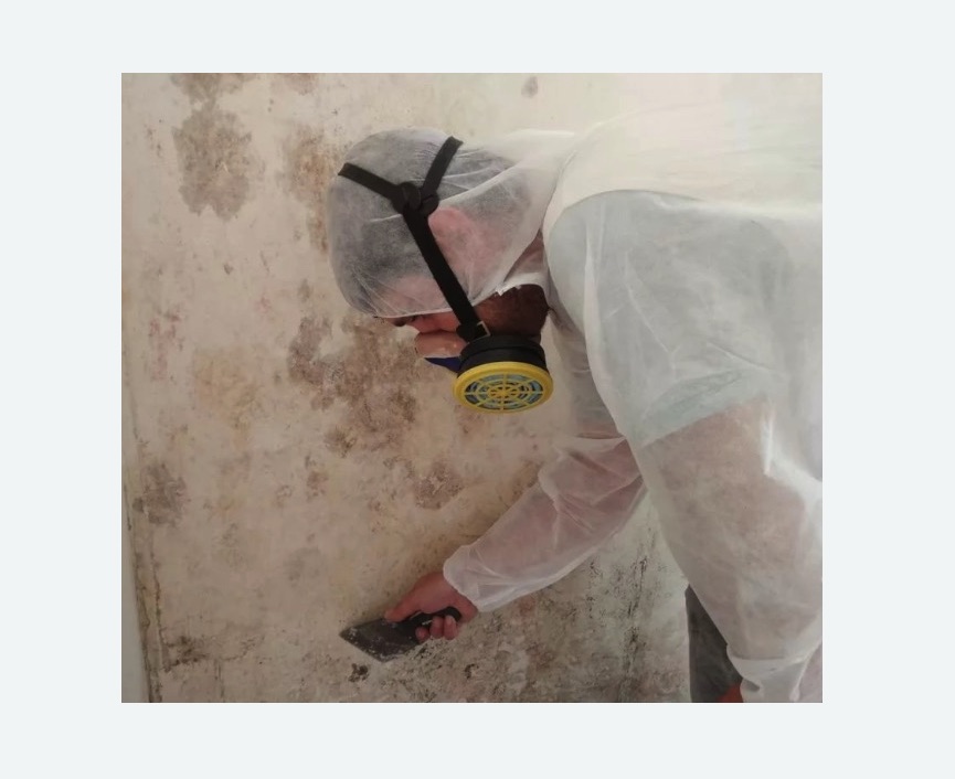 Обработка стен от плесени в Алексеевке