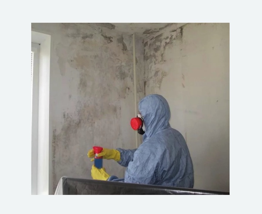 Удаление плесени в квартире в Алексеевке