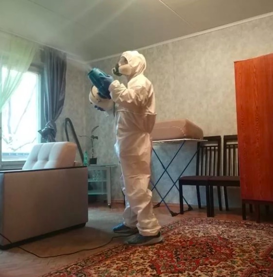 дезинсекция квартиры в Алексеевке