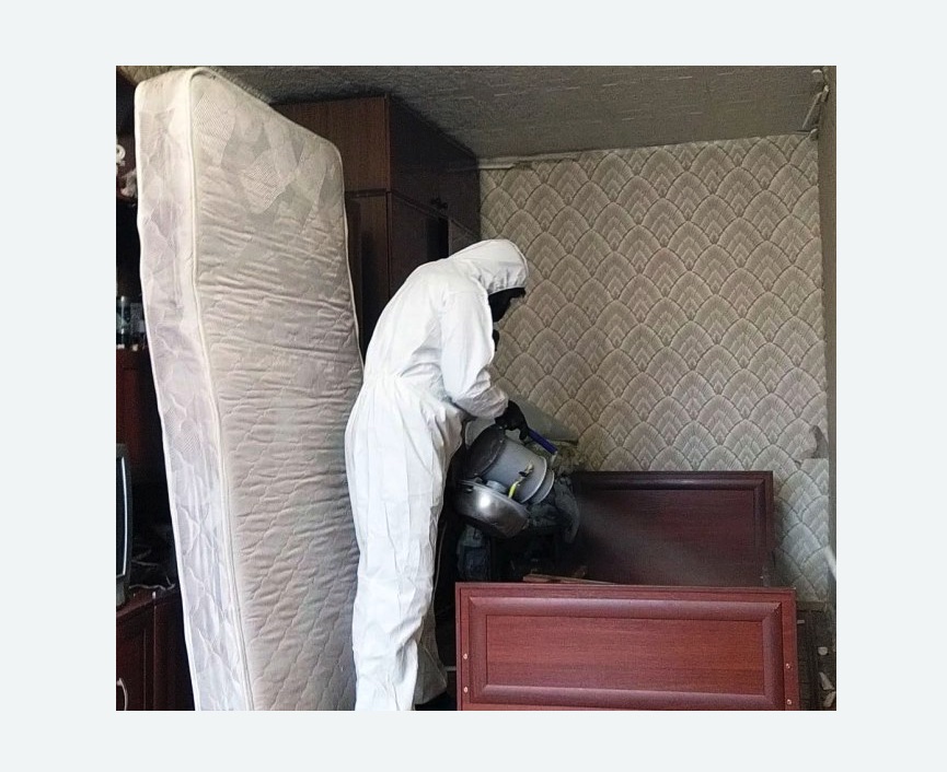 дезинфекция от клопов в Алексеевке