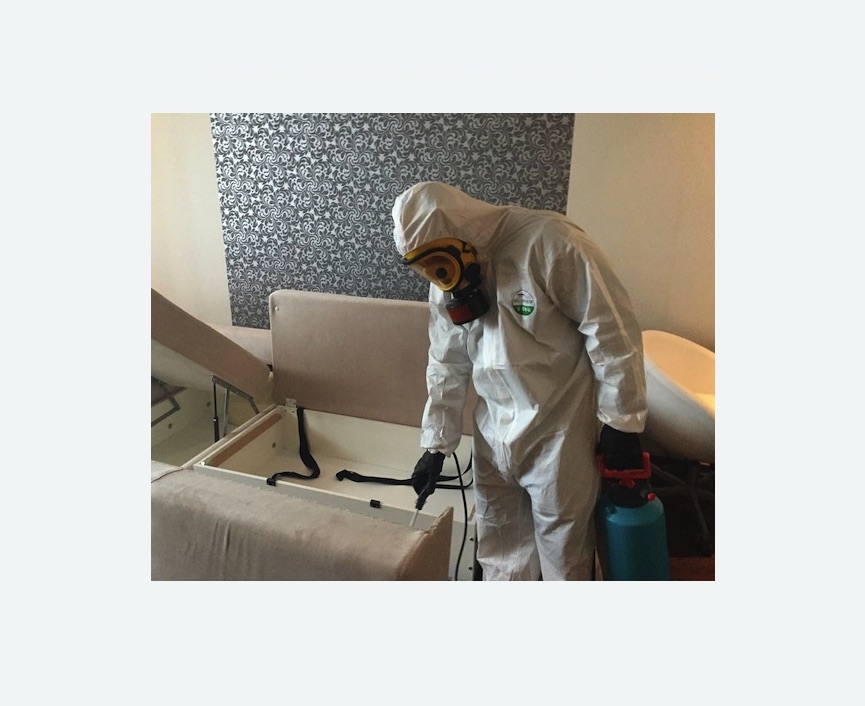 уничтожение клопов в квартире в Алексеевке