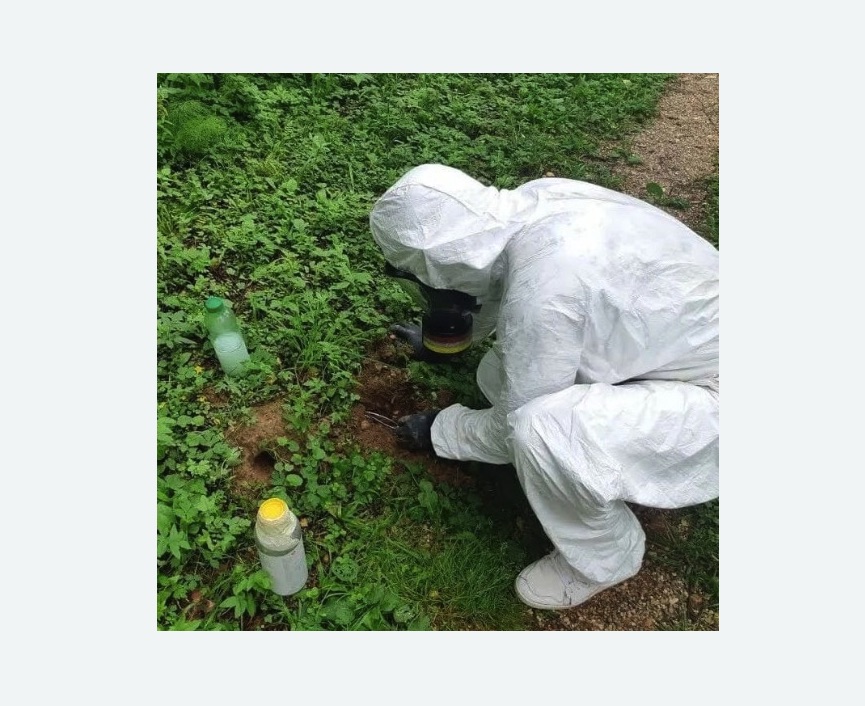 уничтожение кротов на участке в Алексеевке