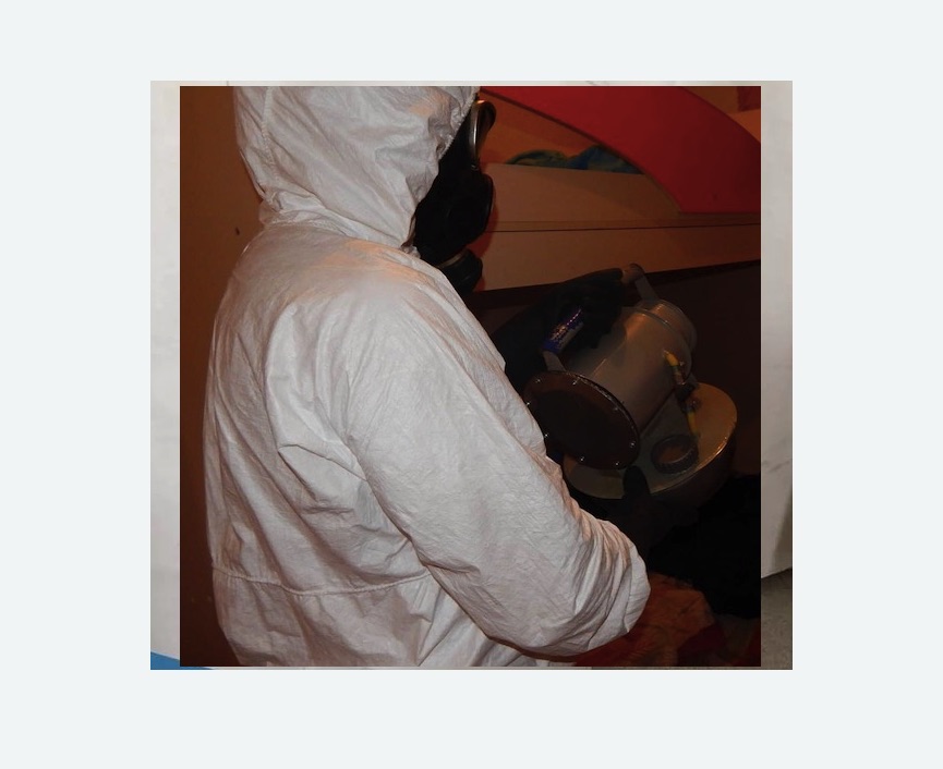 Дезинфекция от муравьев в Алексеевке