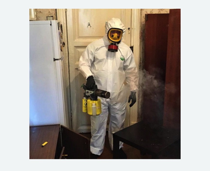 уничтожение муравьев в квартире в Алексеевке